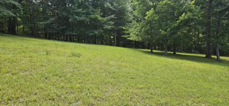 Lot 2 Waterwood DR