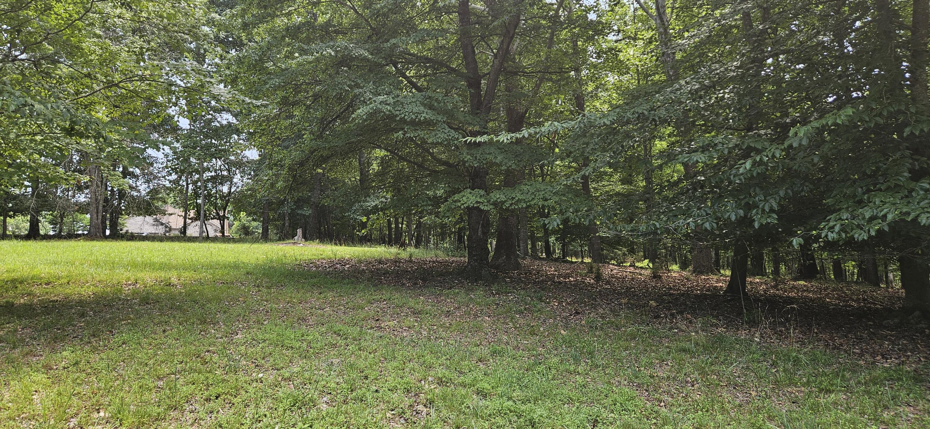 Image 3: 20260630_135756