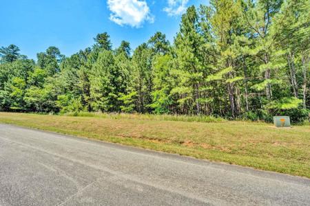 318 Hidden Cove LN