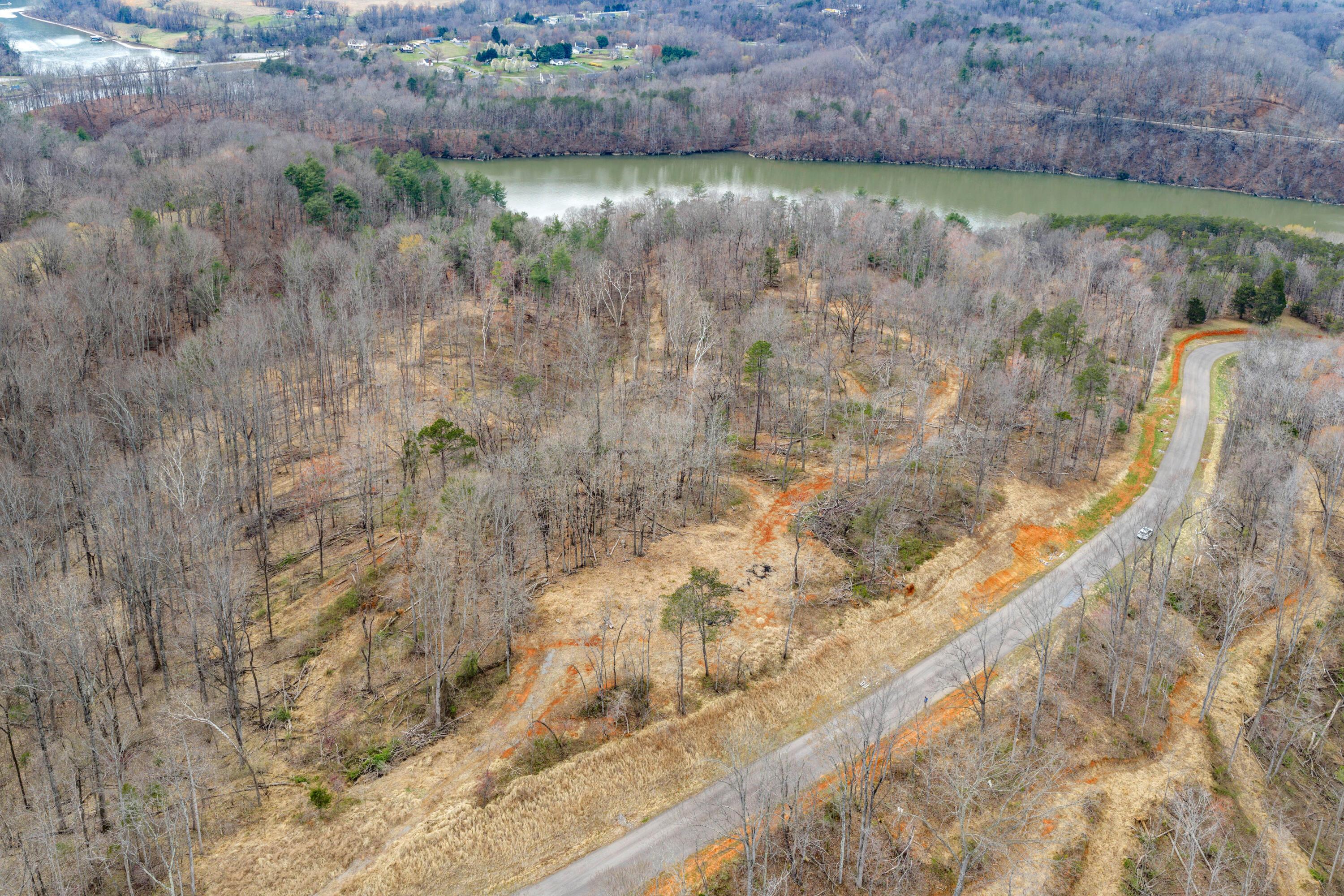 Image 3: DJI_20260319151156_0219_D