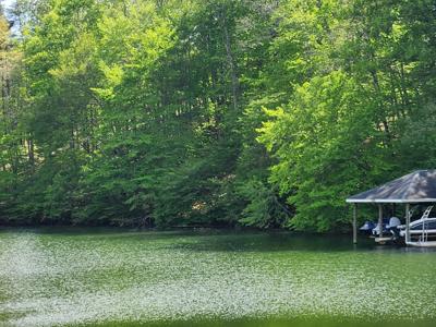 64 Lakewatch CIR