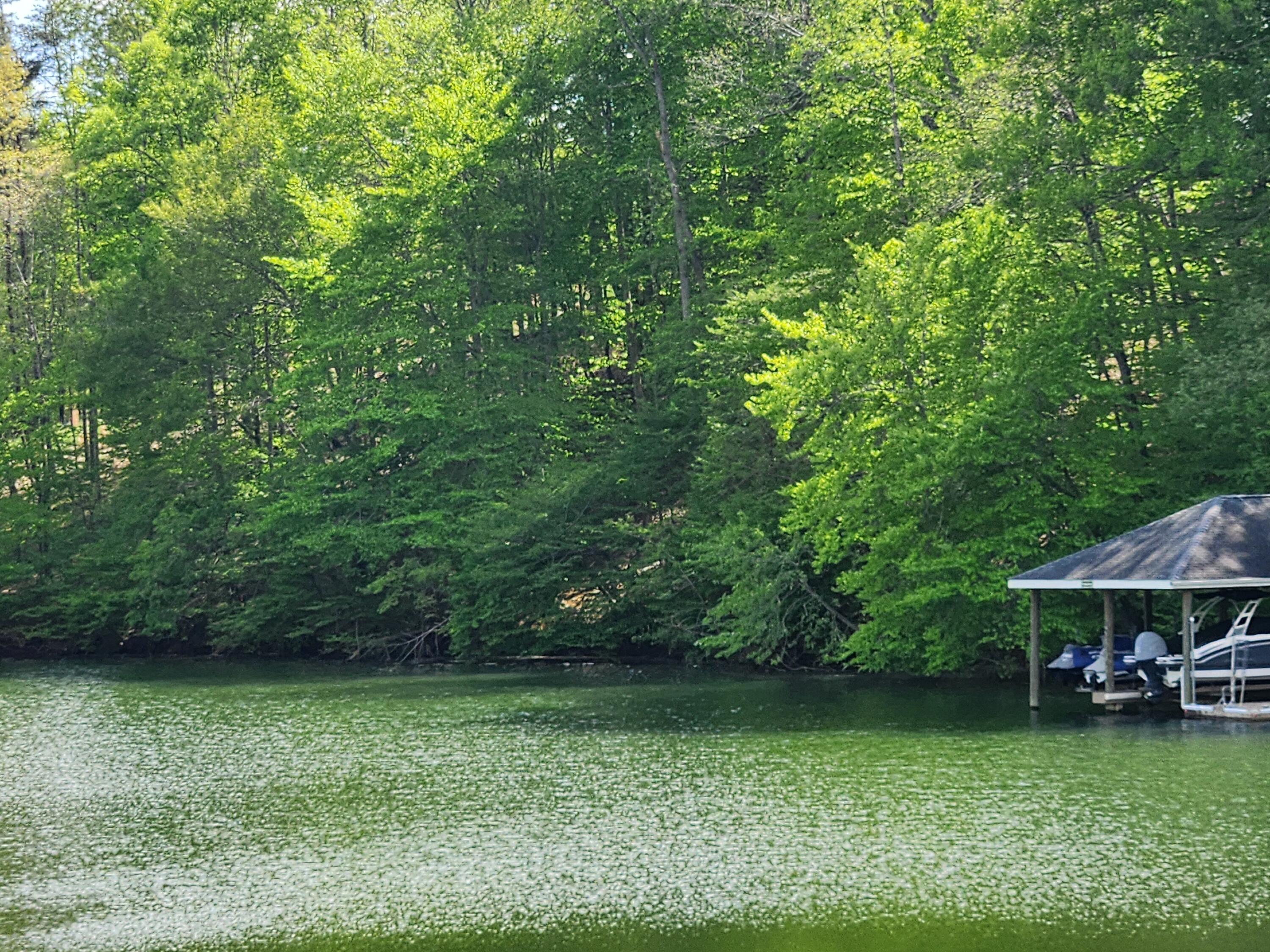 Image 1: Lakefront