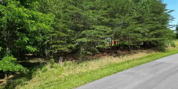 Image 3: 2