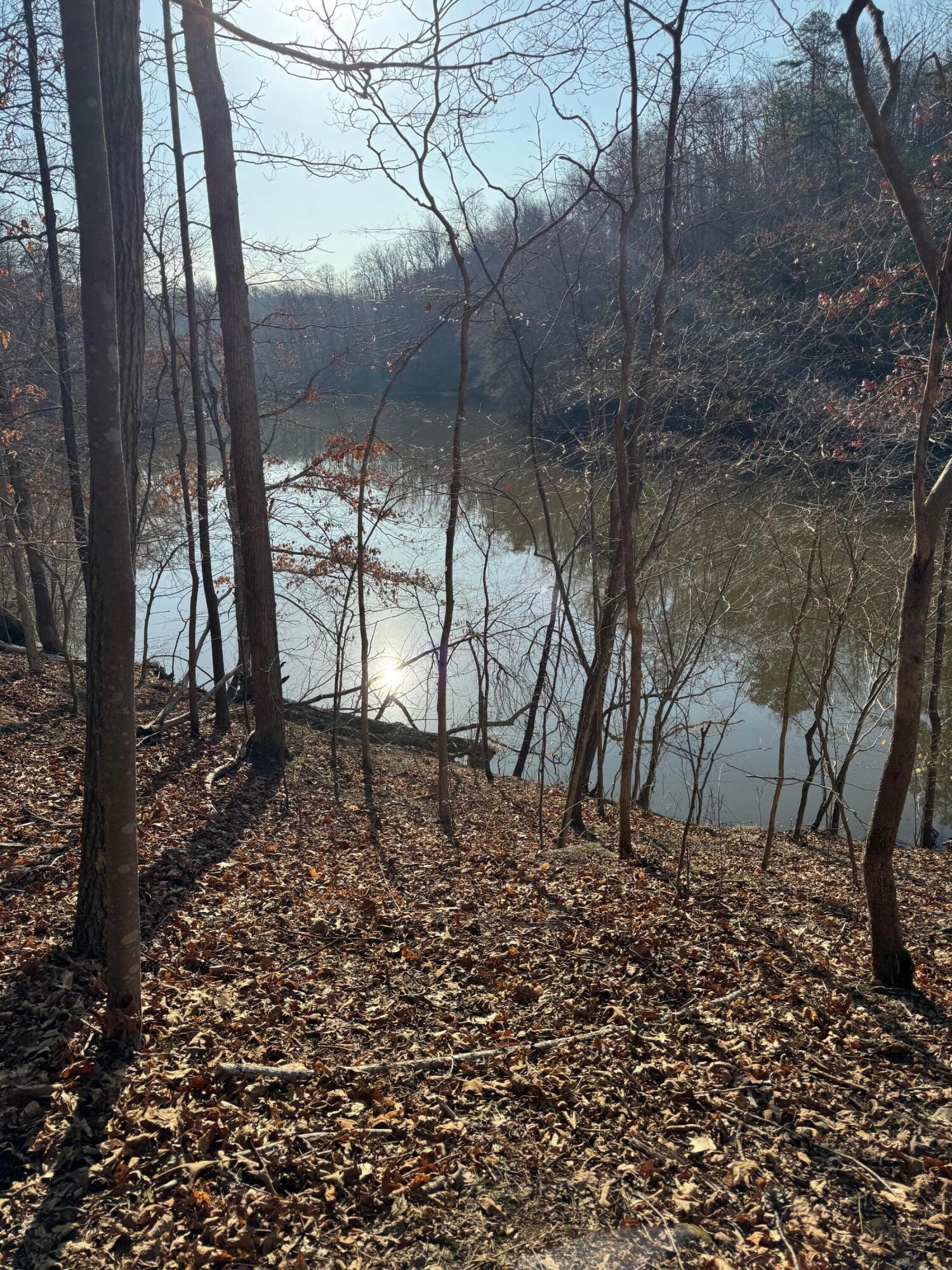 Image 1: Lot 26 Poplar Dr.