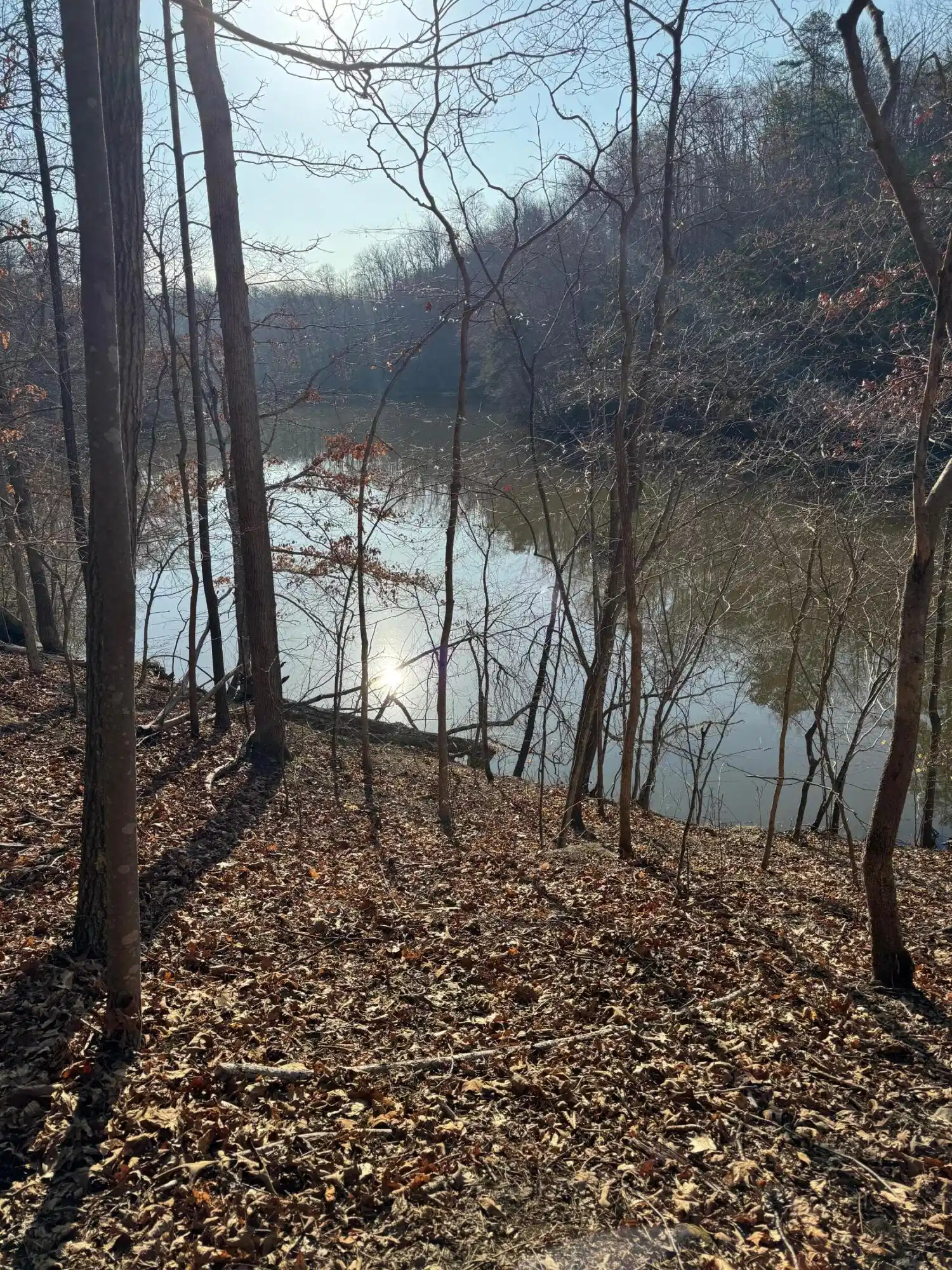 Image 1: Lot 26 Poplar Dr.