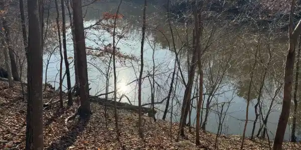 Lot 26 Poplar DR