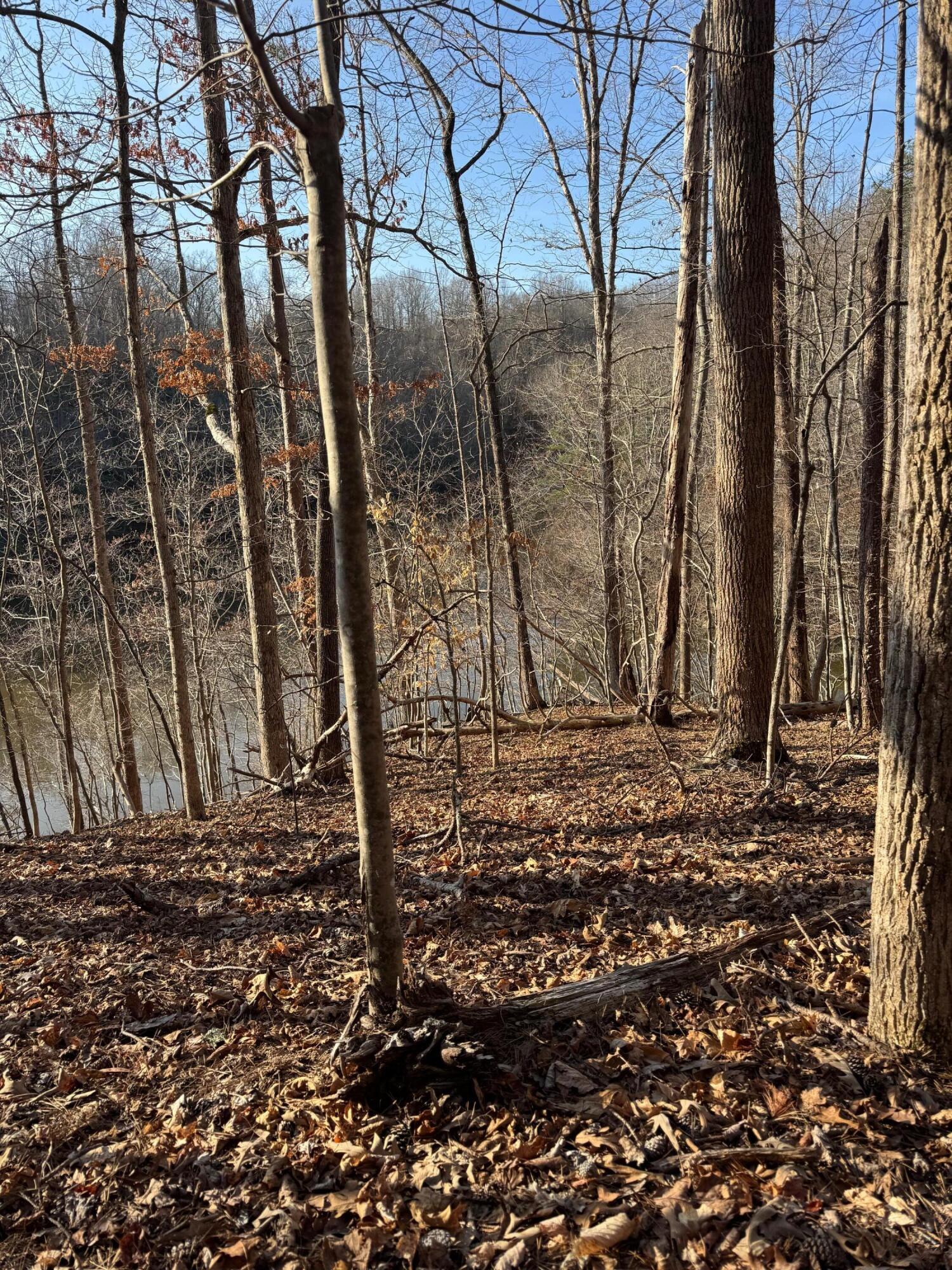 Image 2: Lot 26 Poplar Dr.