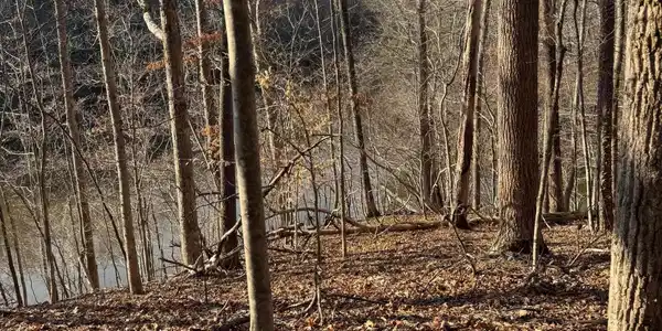 Image 2: Lot 26 Poplar Dr.
