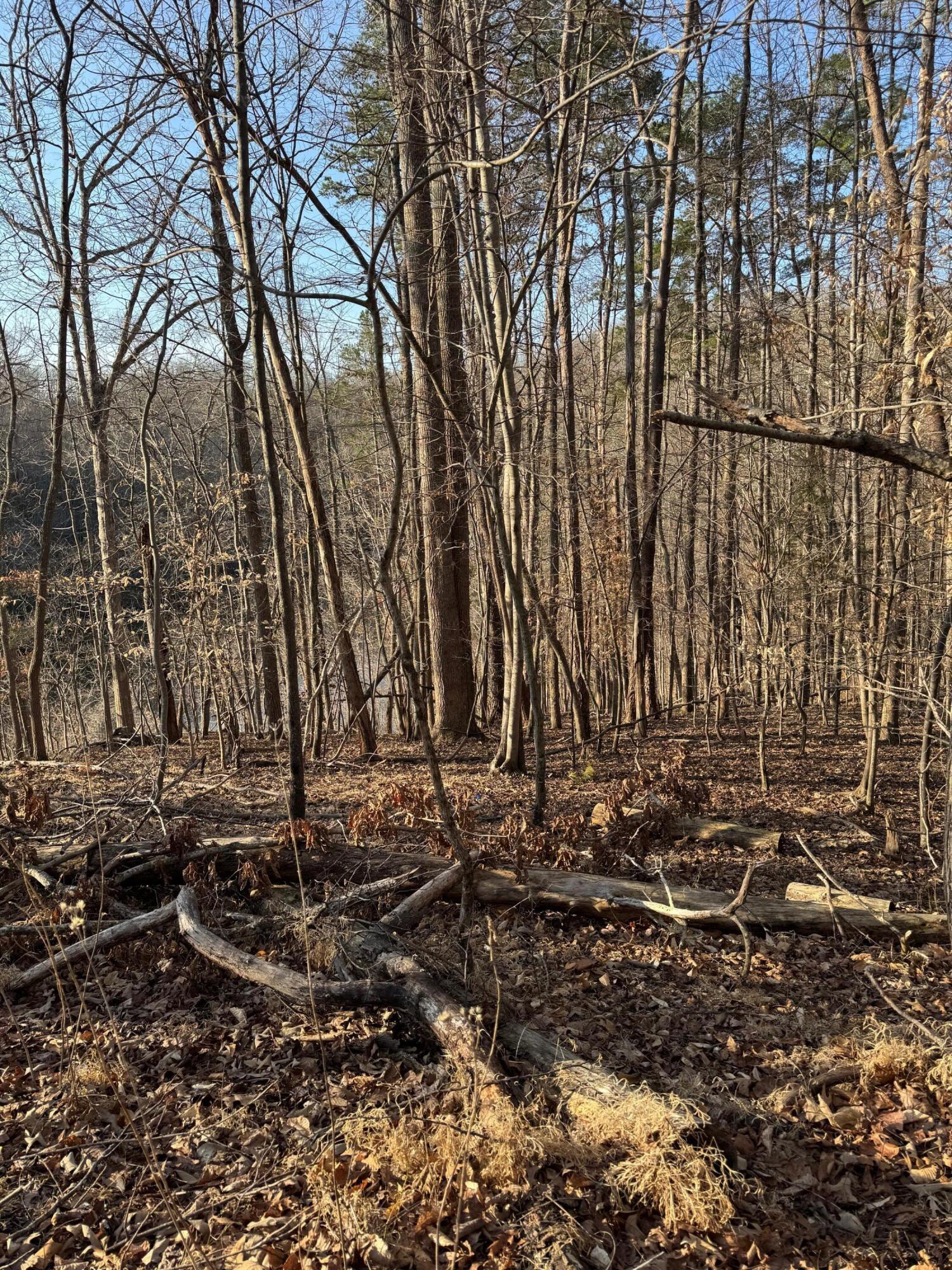 Image 3: Lot 26 Poplar Dr.