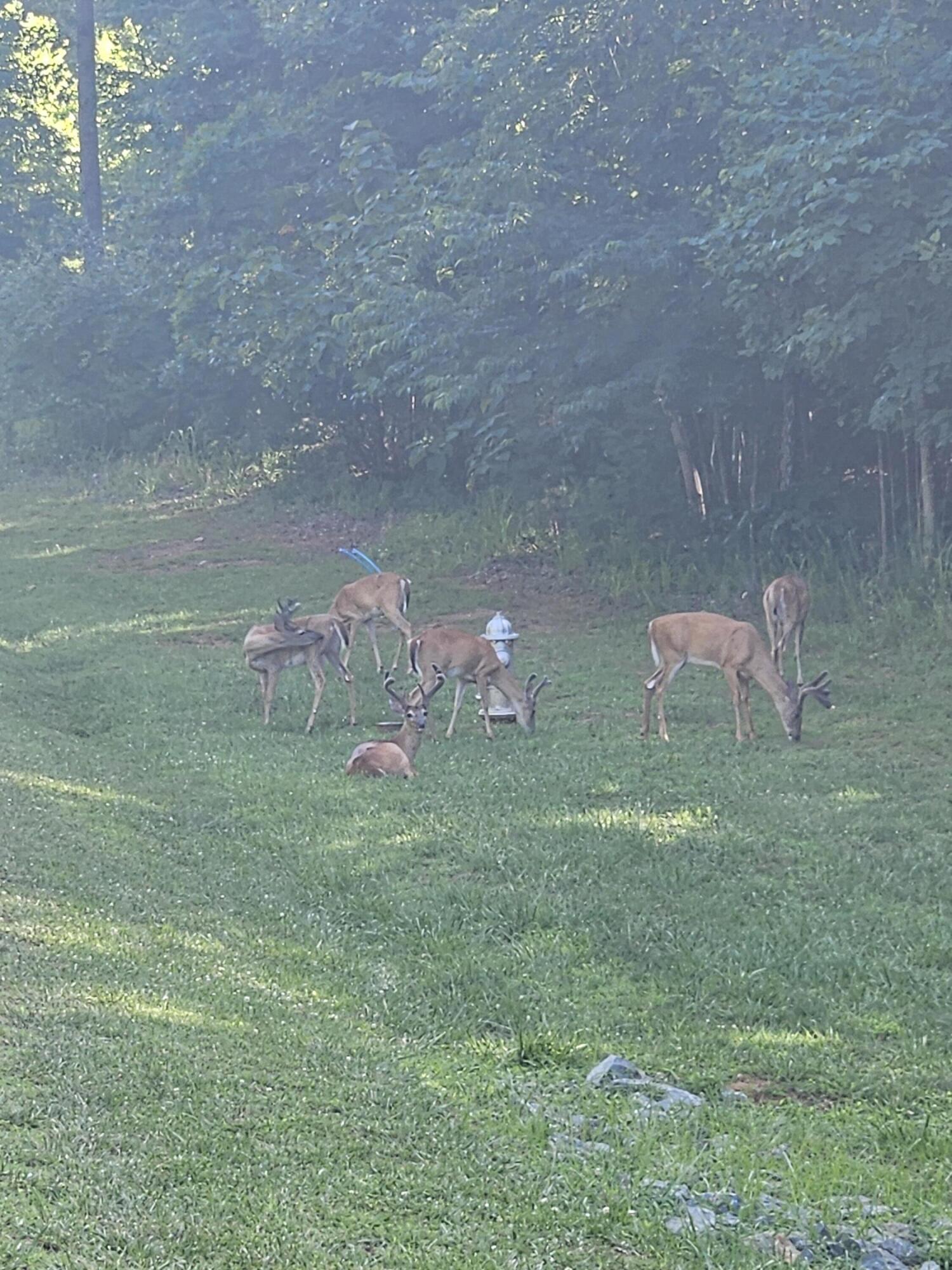 Image 4: 20260701_175658