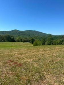 Lot 41 River Rock RD