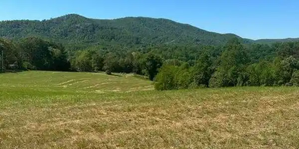 Lot 41 River Rock RD