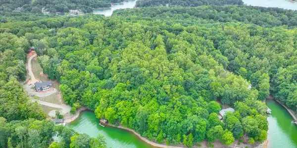 Image 4: Wooded Acreage