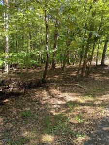 41 Long Pine CT