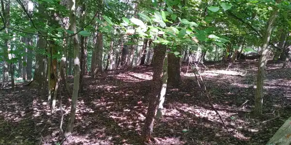 Lot 53 Ridgeway CT