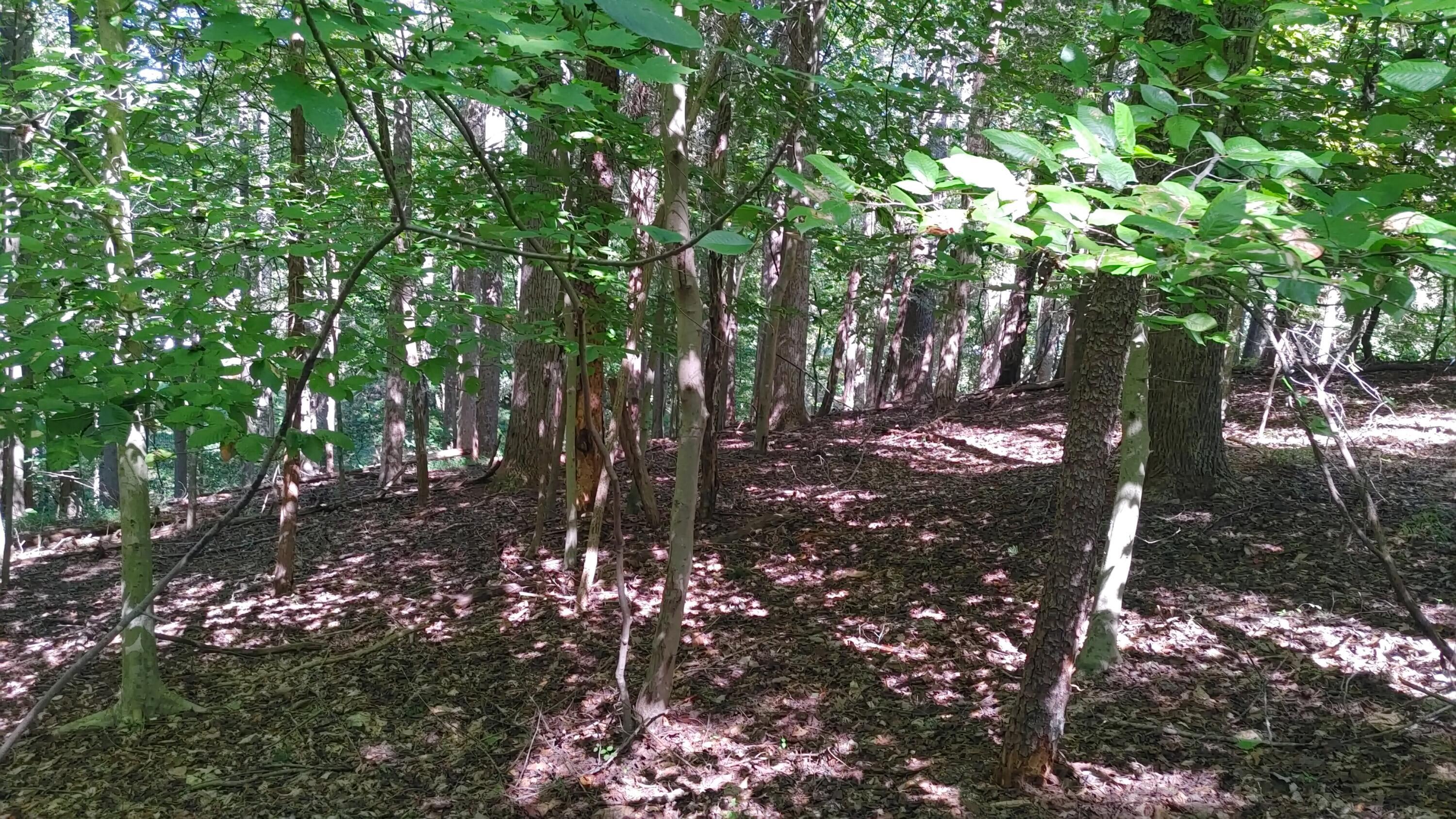 Image 2: Lot 53 Ridgeway Court - Pic 2
