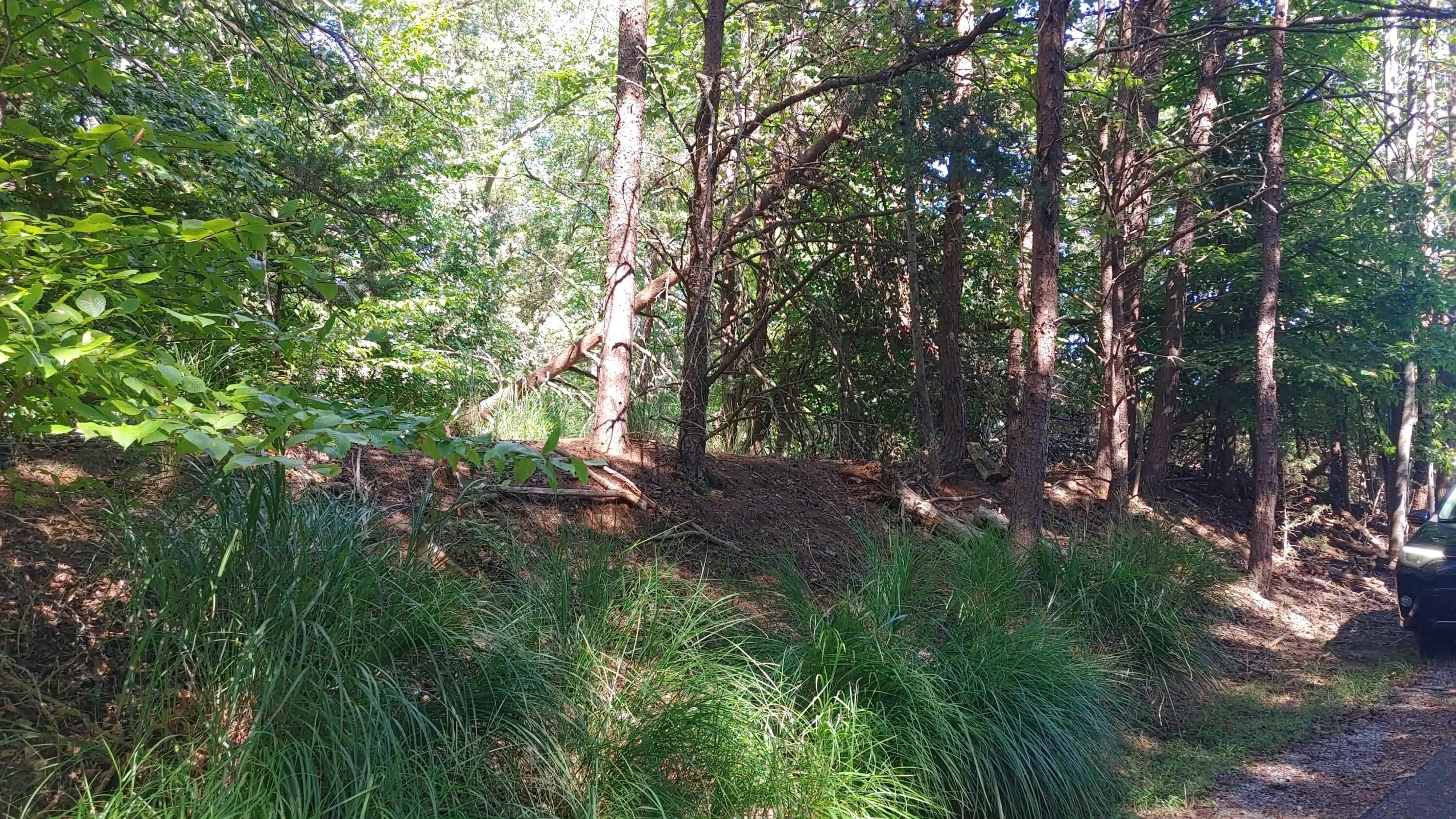 Image 3: Lot 53 Ridgeway Court - Pic 3