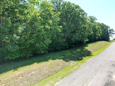 Lot #39 Sassafras CT