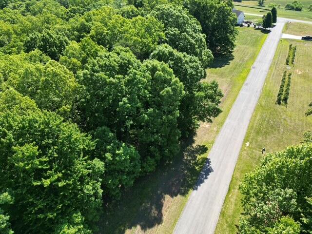 Image 3: Paved Road