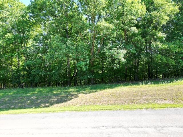 Image 4: 3.17 ACRES