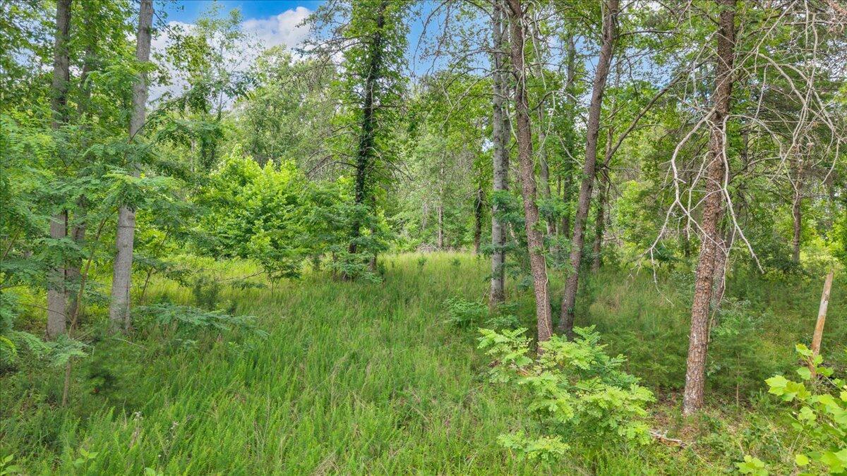 Image 3: 04-DJI_20260618171516_0020_D