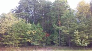 Lot 10 Pointe O Woods DR