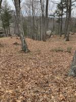 Lot 100 LAKESHORE TERRACE RD
