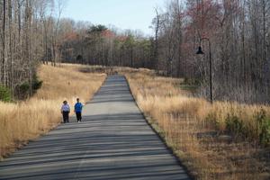 Lot 12 Penhook Pointe CIR