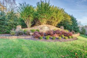 Lot 54 Lake Pointe TRL
