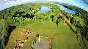 Lot 20 Wading Crane LN