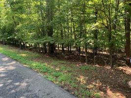 Lot 49 Forest Lawn DR