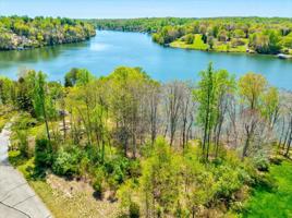 Lot 7 Minnow LN