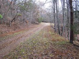 Lot 31 Chestnut DR