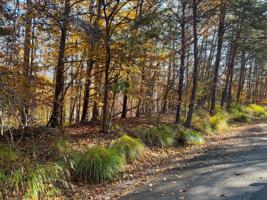 Lot 54 Ridgeway CT