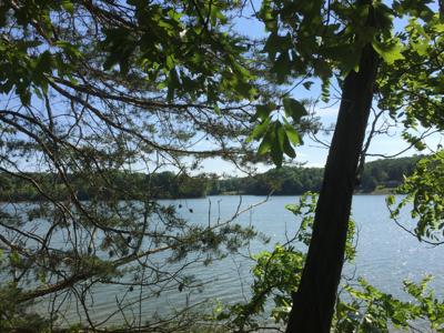 Lot 55 Blazing Ridge DR