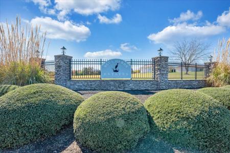 Lot 29 Royal Tern ST