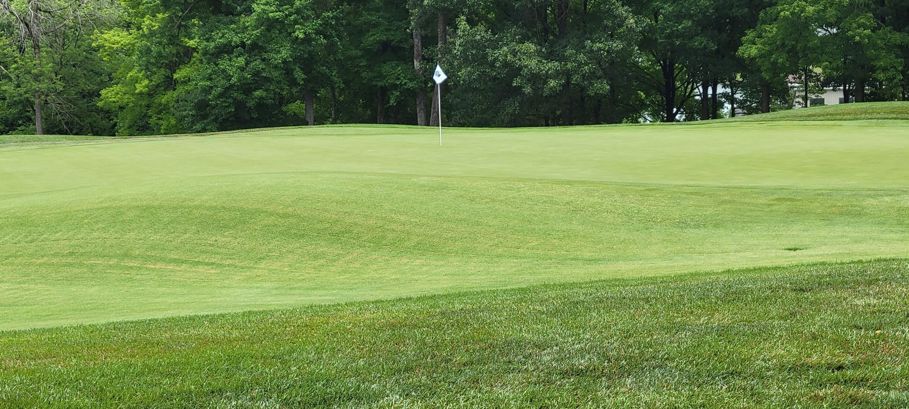 Image 1: View of #16 Green