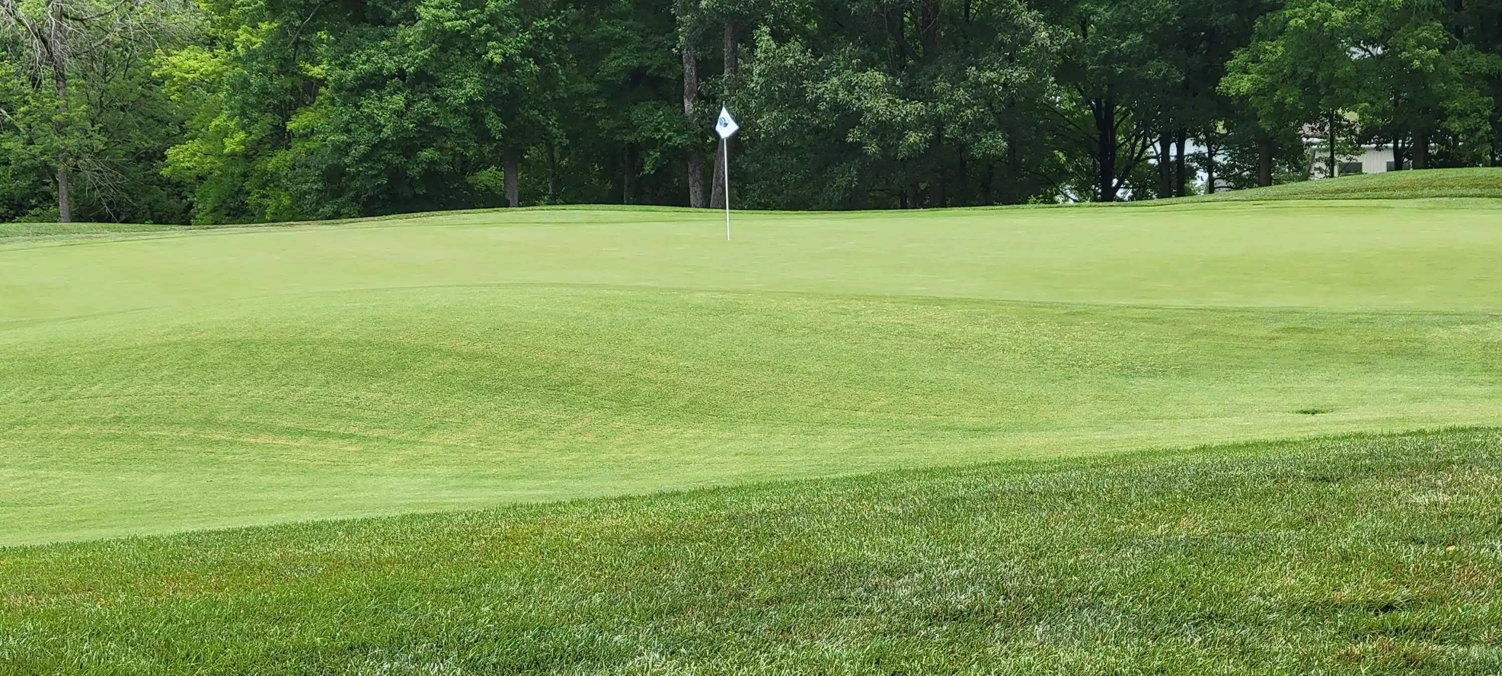 Image 1: View of #16 Green