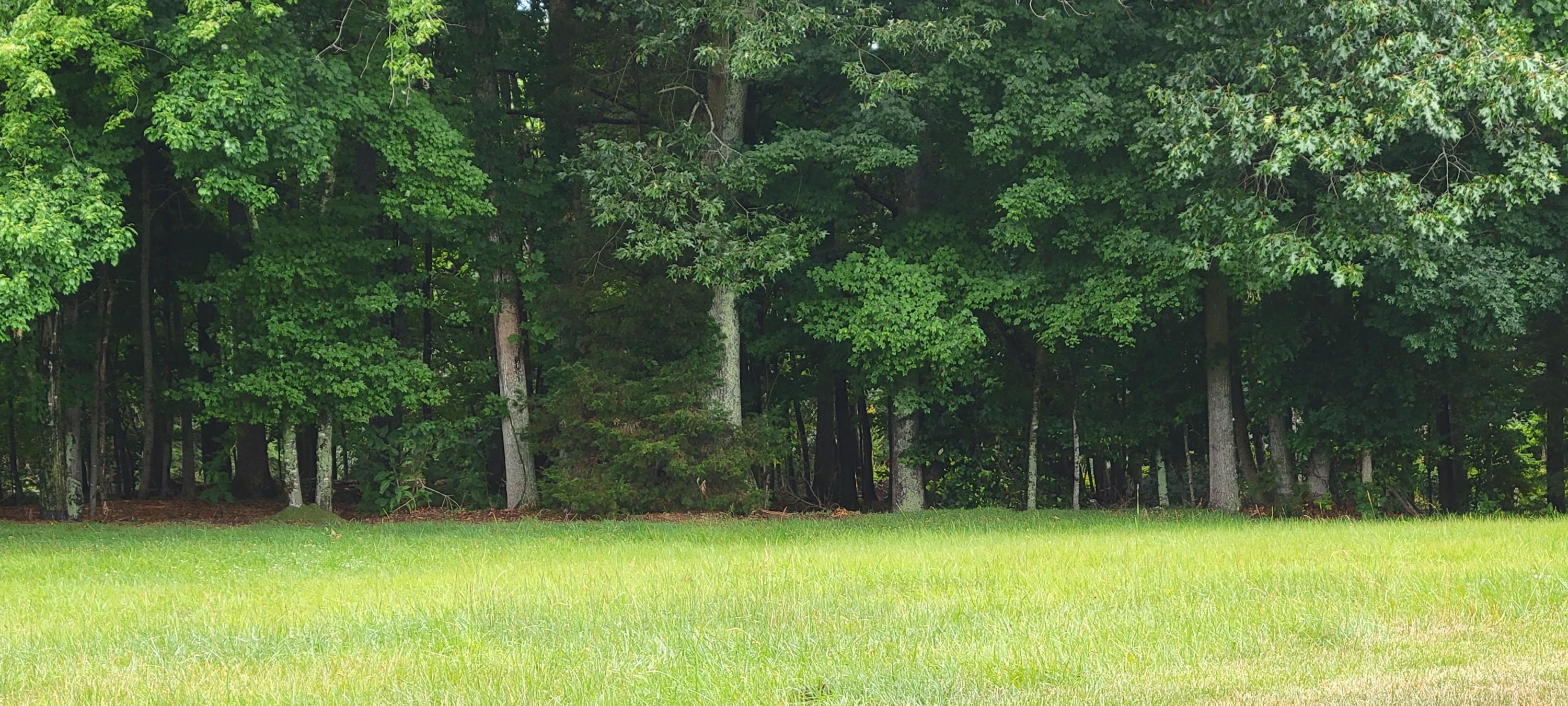 Image 2: Beautiful Lake Lot