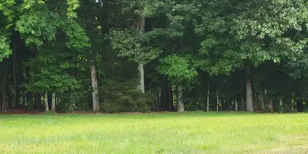Image 2: Beautiful Lake Lot