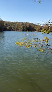 Lot 5 Hidden Grove CT