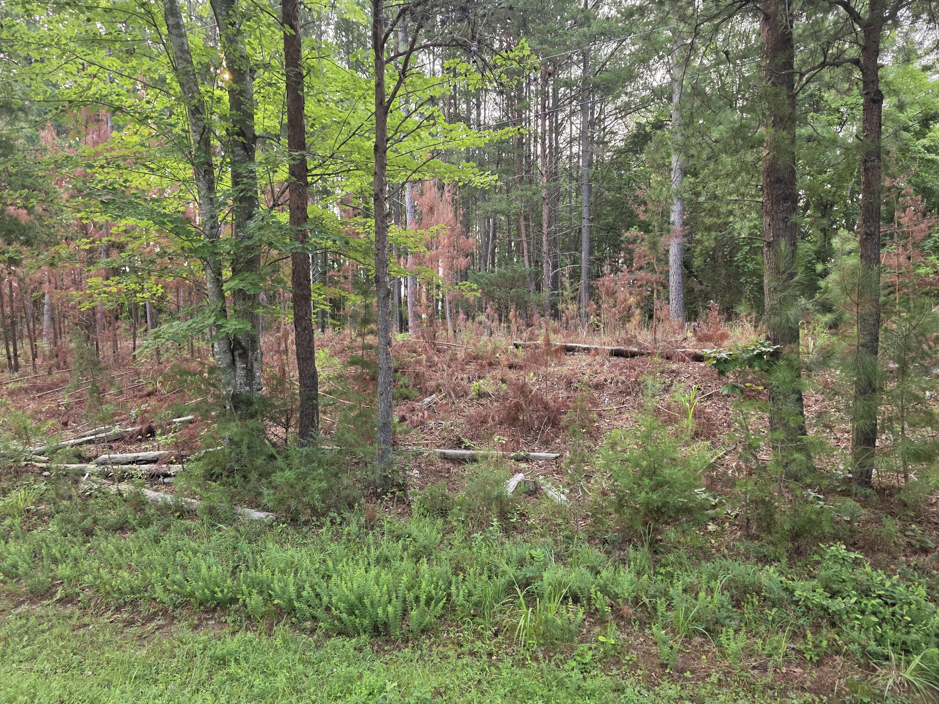 Image 2: 20260715_081007