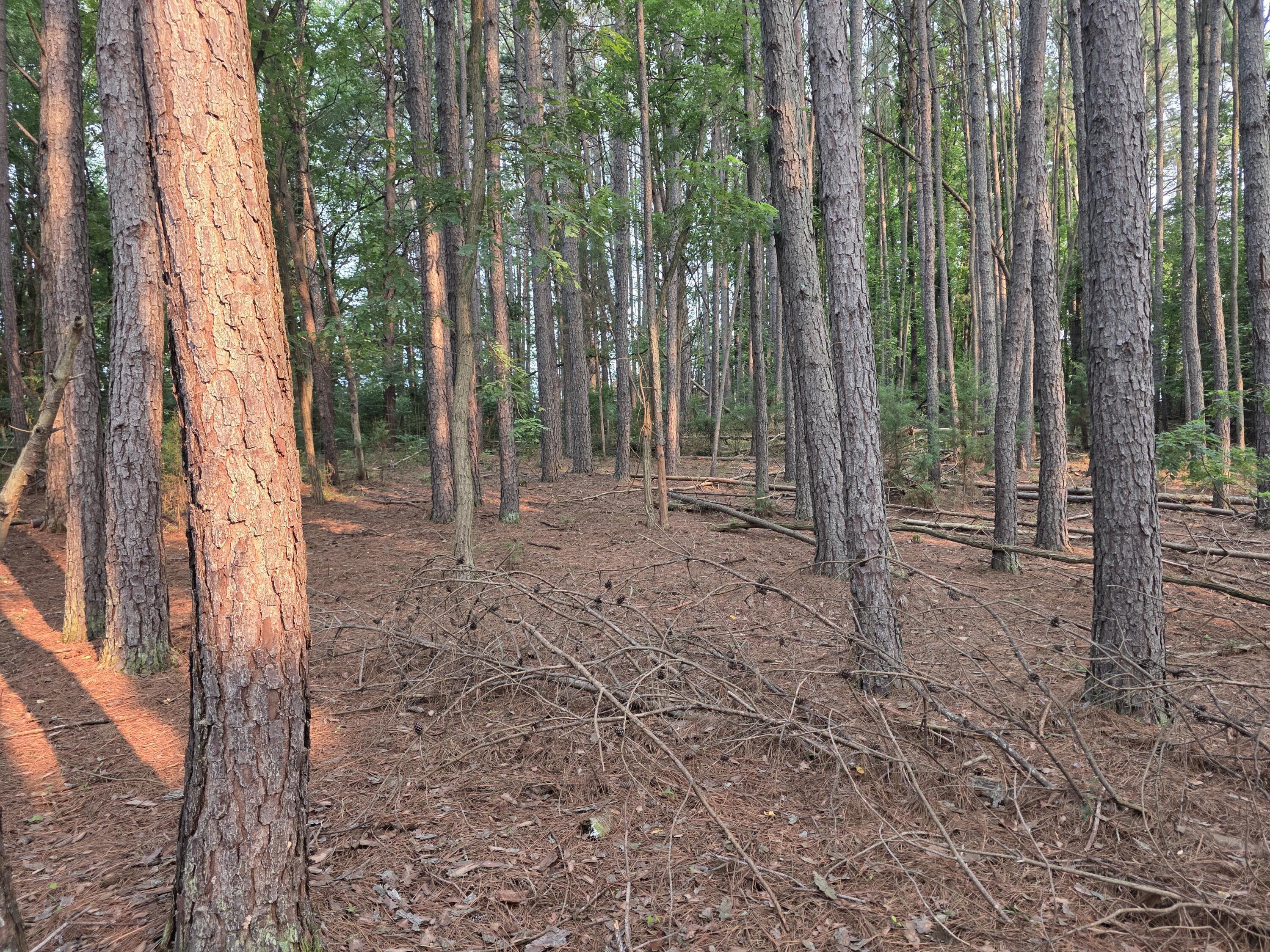 Image 3: 20260715_081611