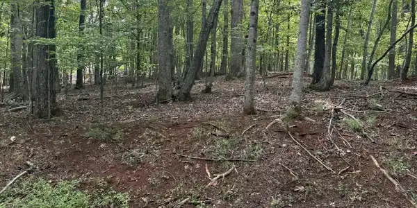 Lot 4 Charmwood CIR