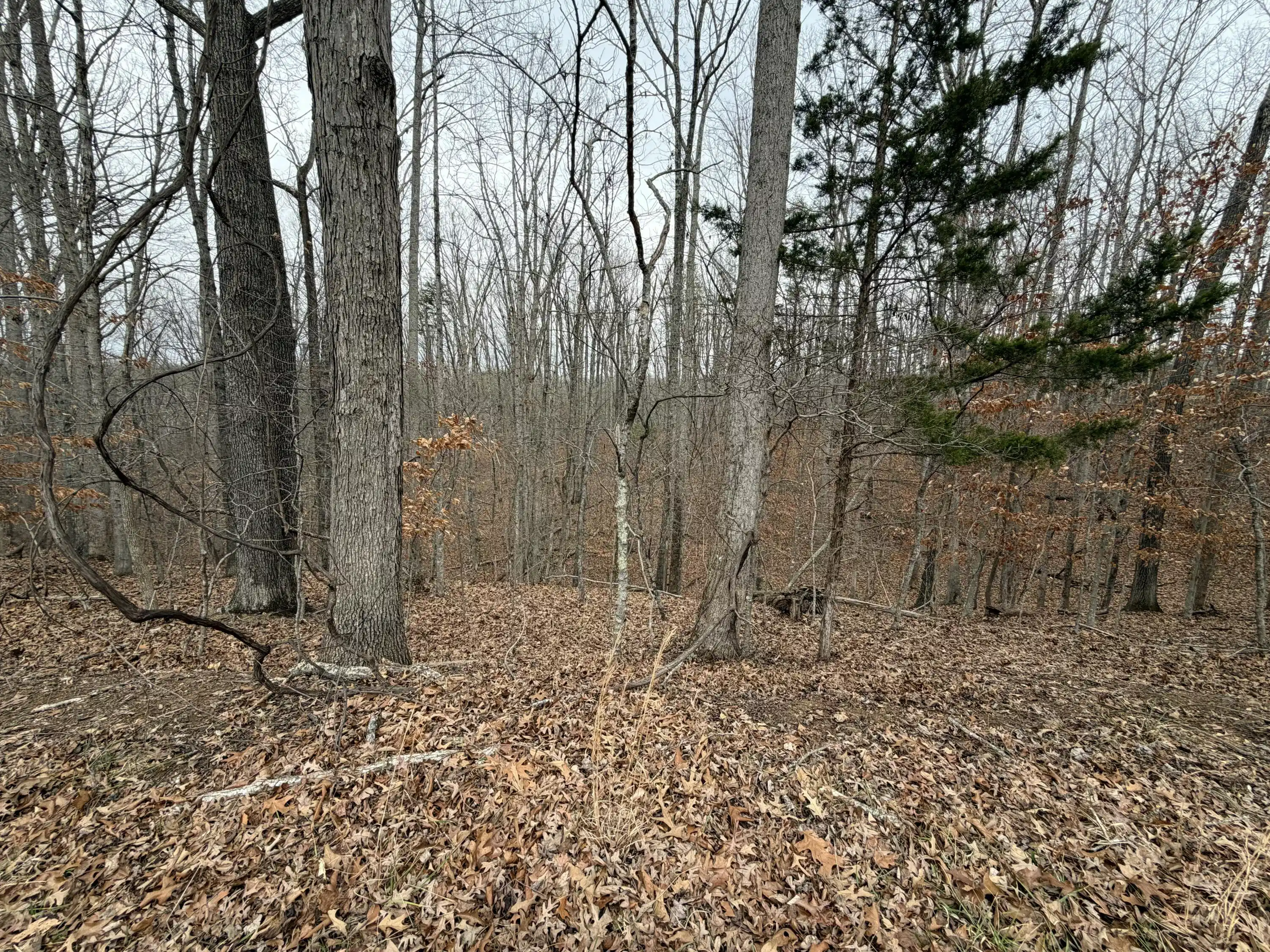 Image 1: IMG_1025