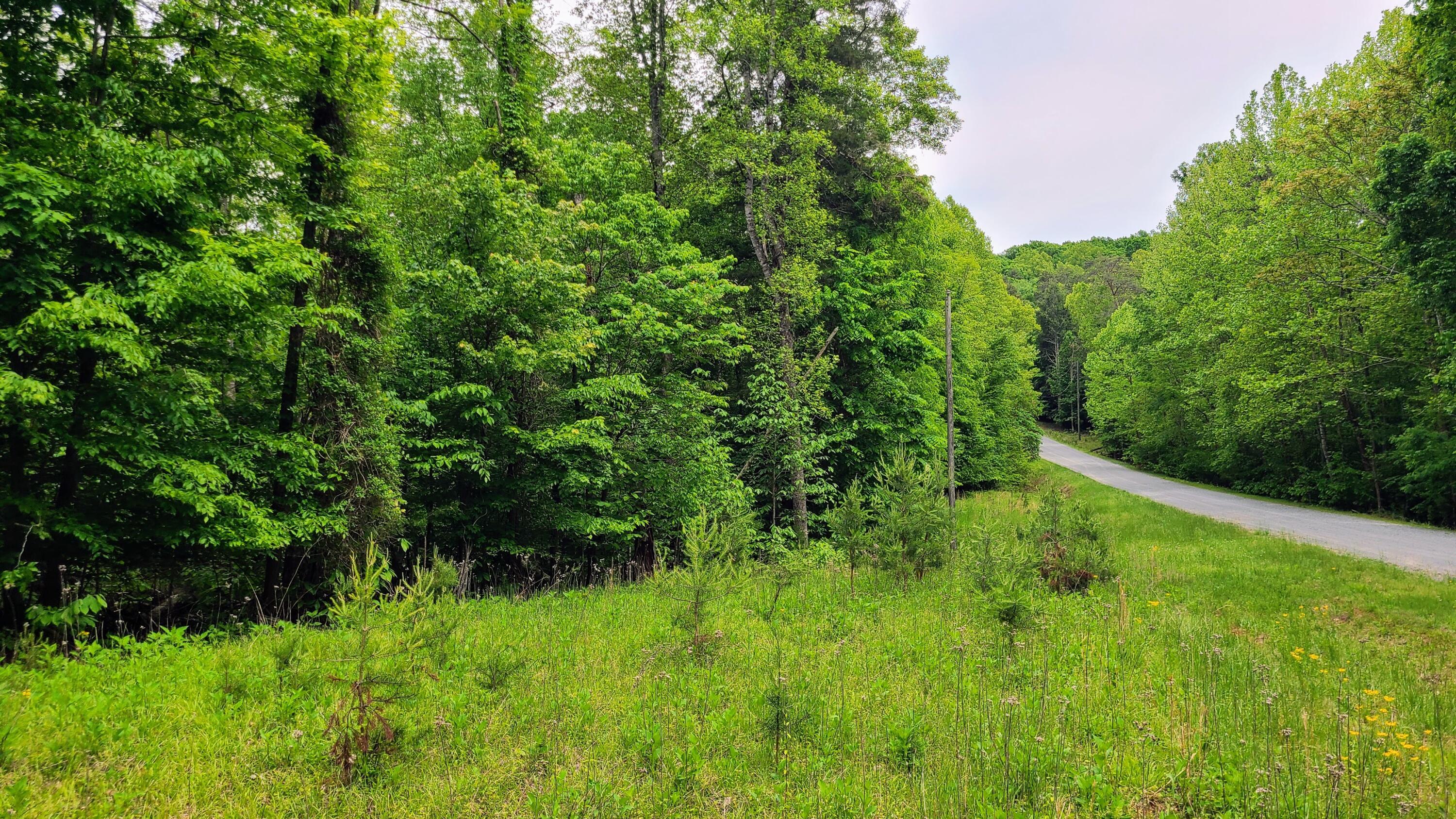 Image 4: 1,000 Ft of road front