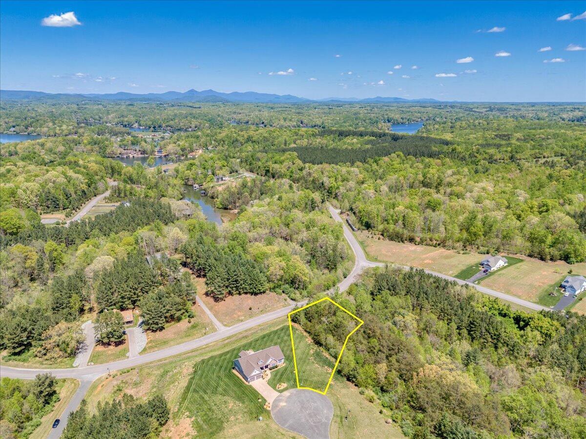 Image 1: 092-Lot 24 Pine Watch Cir 11