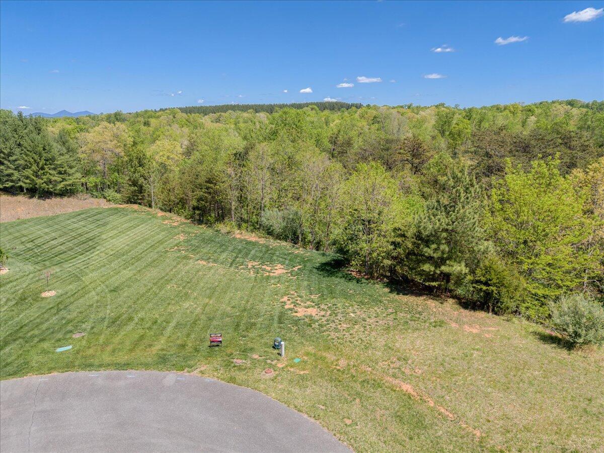 Image 2: 082-Lot 24 Pine Watch Cir 01