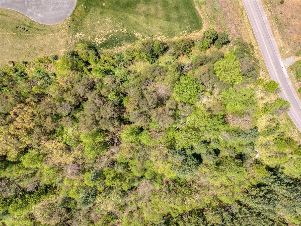 Image 3: 083-Lot 24 Pine Watch Cir 02