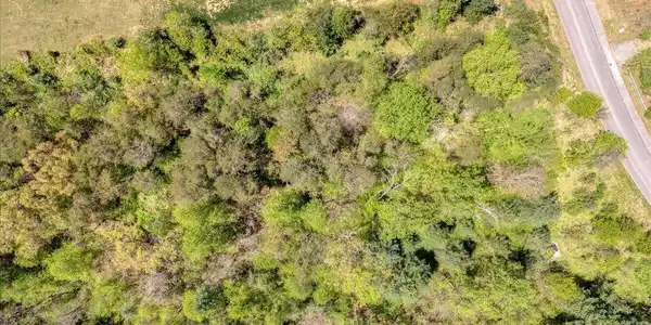 Image 3: 083-Lot 24 Pine Watch Cir 02
